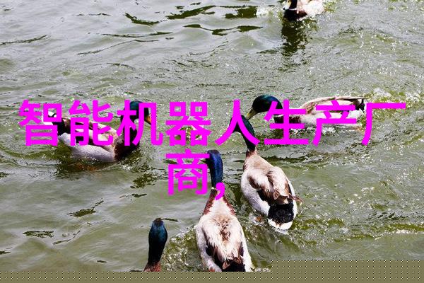 石头科技2024年业绩丰收境内外收入双双增长稳坐全球扫地机器人龙头